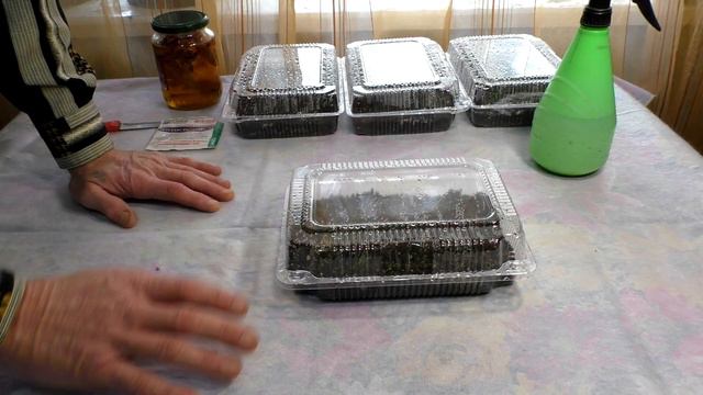 Тайны будущего