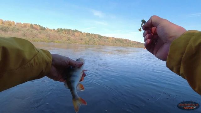 Прогноз клева. Верить или нет?! Рыбалка на спиннинг. смотреть онлайн