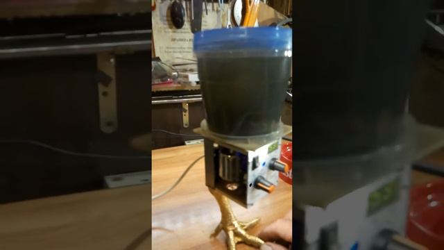 Галтовка ювелирная магнитная " Гал...ка" на куринной ножке . смотреть онлайн