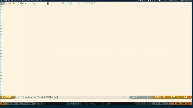 tr - Transform, Replace and Remove specific characters from strings | #10 Practical Bash смотреть онлайн