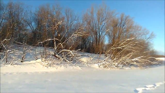 Поездка за реку. Ловля белой рыбы на Северной Двине смотреть онлайн