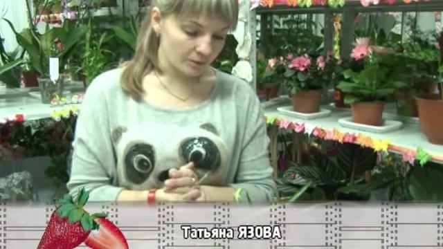 Он не любит перемещений, начинает листопадничать смотреть онлайн
