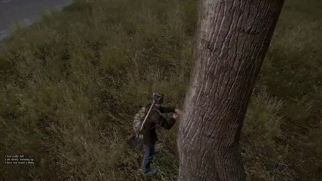 DayZ Standalone - Playstyle: True Survivor смотреть онлайн