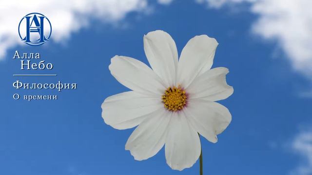 Alla Nebo - Filosofiya - O vremeni смотреть онлайн