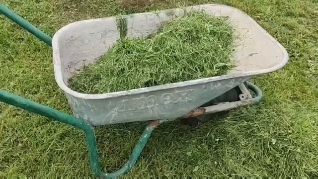 Не спешите выбрасывать скошенную ТРАВУ! Что делать со скошенной травой?