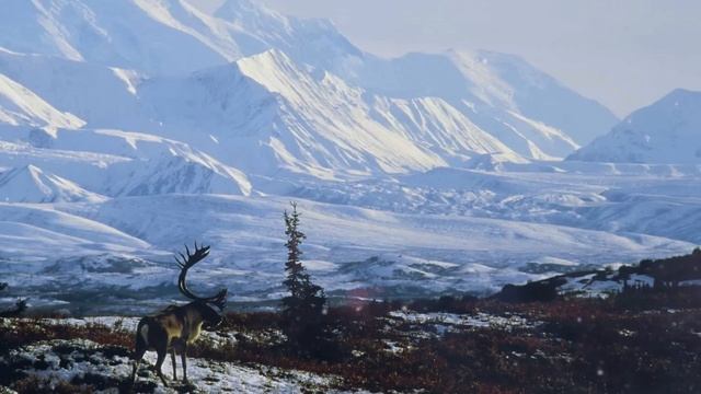 История о том, как большая беда переросла в большое счастье Истории из жизни смотреть онлайн