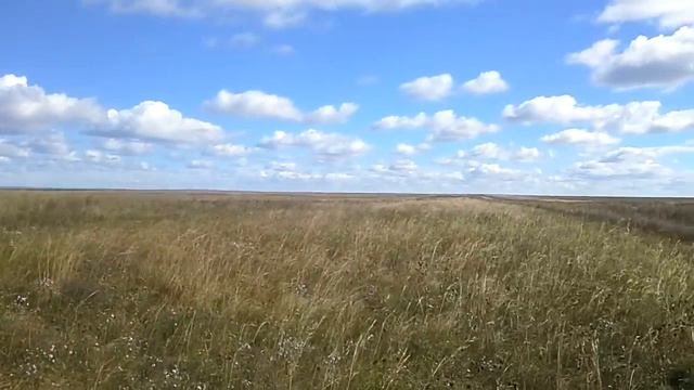 Тари нютаг смотреть онлайн