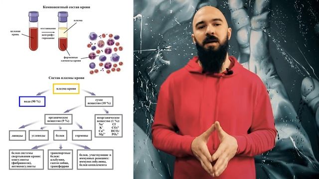 Какой пульс нужен для сжигания жира. Работа сердца смотреть онлайн