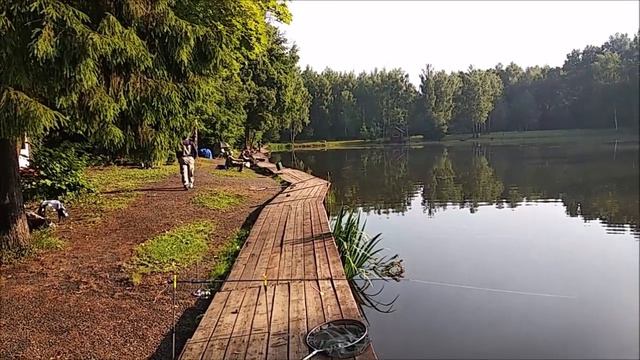 Ночная активность осетра. Утренний обзор с Нижнего. Клёвое место лосиный остров. смотреть онлайн