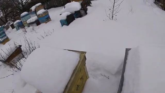 Первые потери. Январская оттепель. Пополняем корма на пасеке. смотреть онлайн