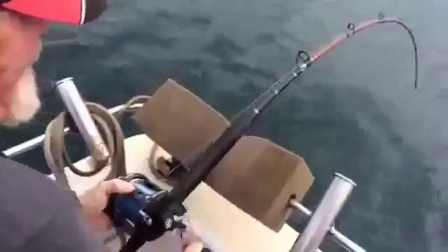 Рыбка смотреть онлайн