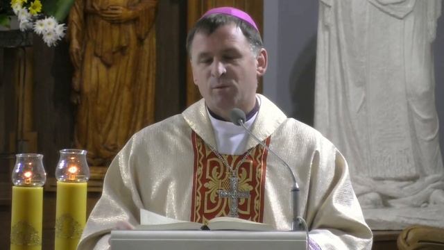 Харківсько-Запорізька дієцезія РКЦ – transmisja na żywo смотреть онлайн
