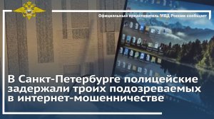В Санкт-Петербурге полицейские задержали троих подозреваемых в интернет-мошенничестве