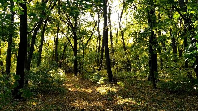 8 октября-ДЕНЬ СЕРГИЯ РАДОНЕЖСКОГО.Сергей-курятник.Капустник.Народные приметы смотреть онлайн
