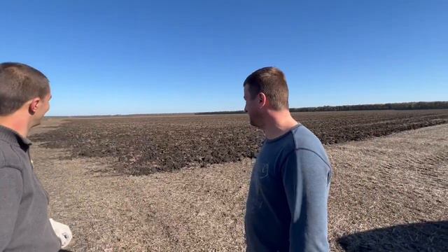 Збирання соняшника, рекордна врожайність чи волога. Супер день.#фермер #newholland #notill смотреть онлайн