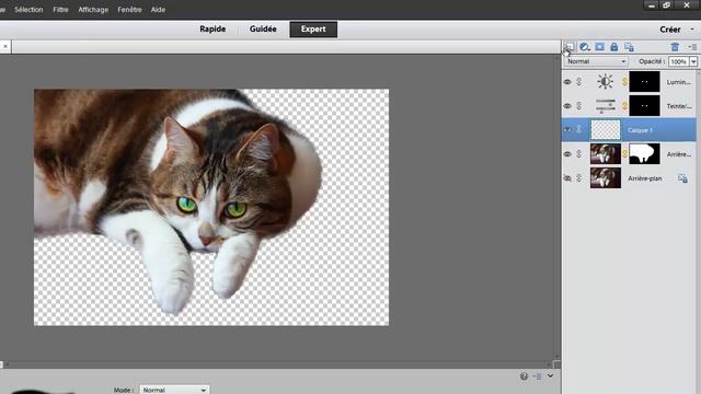 Adobe Photoshop Elements 11 - les outils de sélection смотреть онлайн