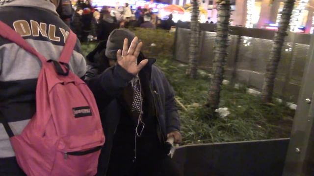 Собаки тоже празднуют рождество. Нью-Йорк США смотреть онлайн