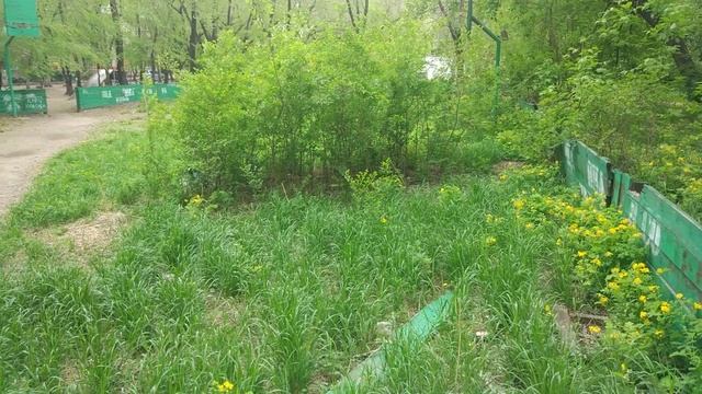 Восстановление спортивной коробки смотреть онлайн