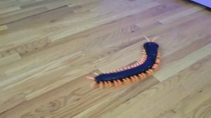 Огромная МНОГОНОЖКА на пульте управления (Animal Planet) Радиоуправляемые игрушки