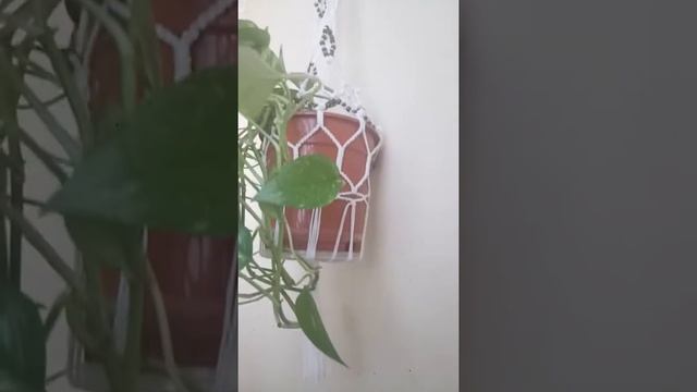 Кашпо з макраме для вазонка. смотреть онлайн