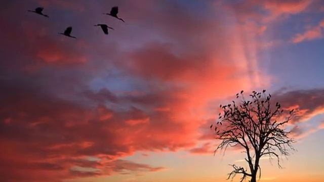 SHABBATH SHALOM with lyrics ( Medley by Jonathan Settel ) смотреть онлайн