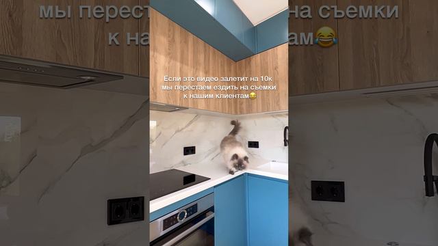 Следуем трендам😅 смотреть онлайн