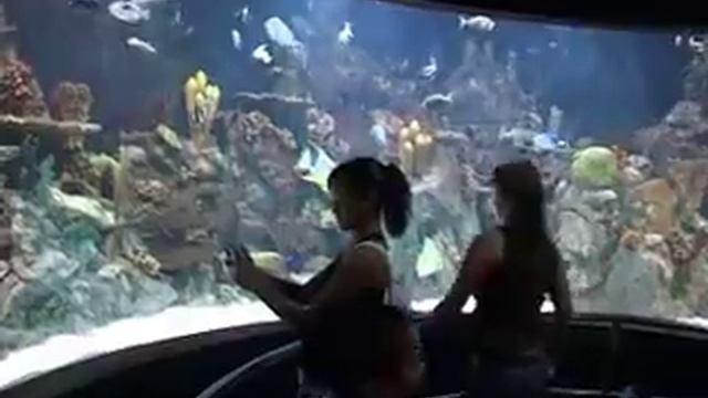 Сеть туроператоров Альфа о семейном отдыхе смотреть онлайн