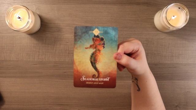 Watch & Wait | December 17th Daily Oracle Card Reading смотреть онлайн