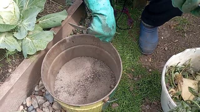 Борьба с капустными вредителями народными средствами 2 Часть смотреть онлайн
