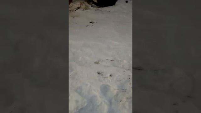 Как быстро залить горку смотреть онлайн