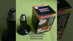 Ультрафиолетовая лампа для черепах — какую выбрать