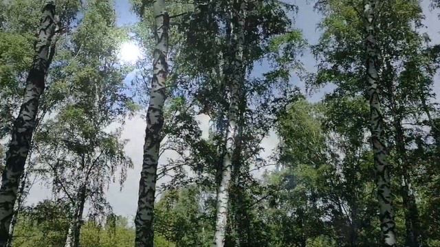 Виктория Ромашки России 2 смотреть онлайн
