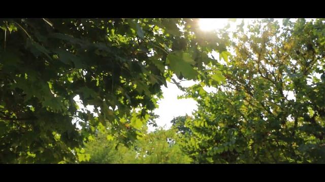 #провереНо: Как начать вести экологичный образ жизни и сколько это стоит? смотреть онлайн