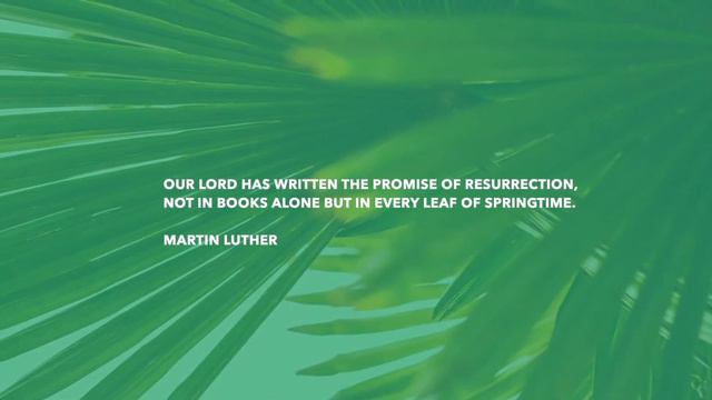 Palm Sunday 2024 | Commons Church Online смотреть онлайн