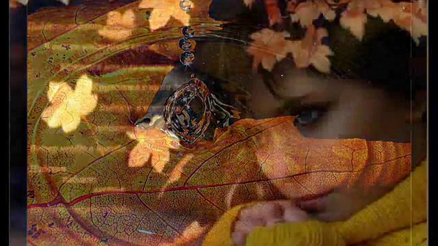 ЛИСТЬЯ КАШТАНА смотреть онлайн