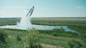 ЖУКИ: Знакомство с грибочками