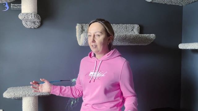 Все о мейн-кунах / Кошка за 1 000 000 / Сколько стоят котята / Грозный взгляд – добрый характер смотреть онлайн
