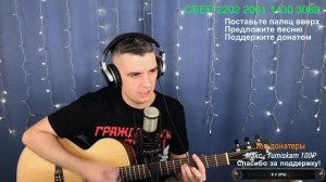 Смешарики - От винта. Кавер Макс играет на гитаре. Отрывок из стрима.