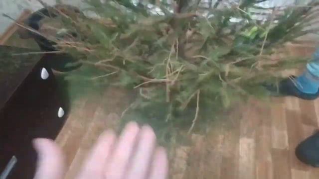 VLOG: Софи начала понимать что такое снег😂🤍🐕🌨️❄️ смотреть онлайн