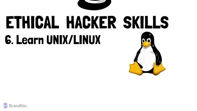 How to Become an Ethical Hacker For Beginners | Ethical Hacker Skills Required смотреть онлайн