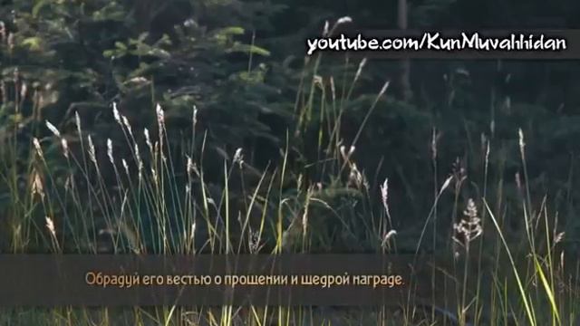 Красивое чтение Корана смотреть онлайн