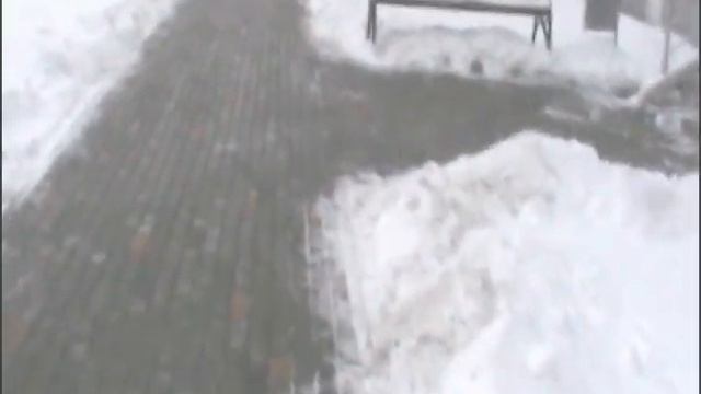 Воронеж Королькова 10 бардак! смотреть онлайн