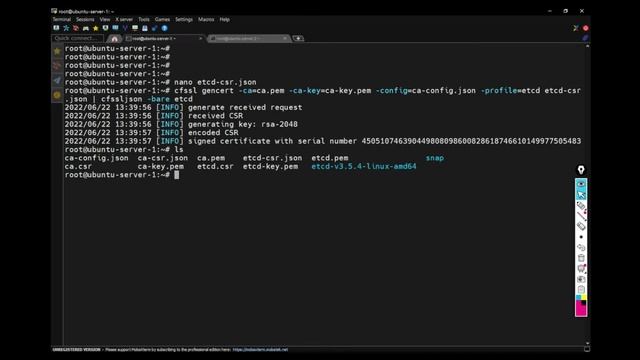 Set Up Multi-Node Etcd Cluster using VirtualBox on Windows 10 | Etcd - Part 1 смотреть онлайн