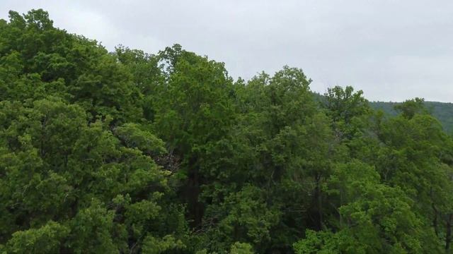 Село Ширяево - Самарская область смотреть онлайн