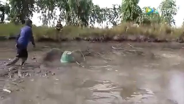 Китайский бизнес. Разведение рыбы южный Китай подлинное