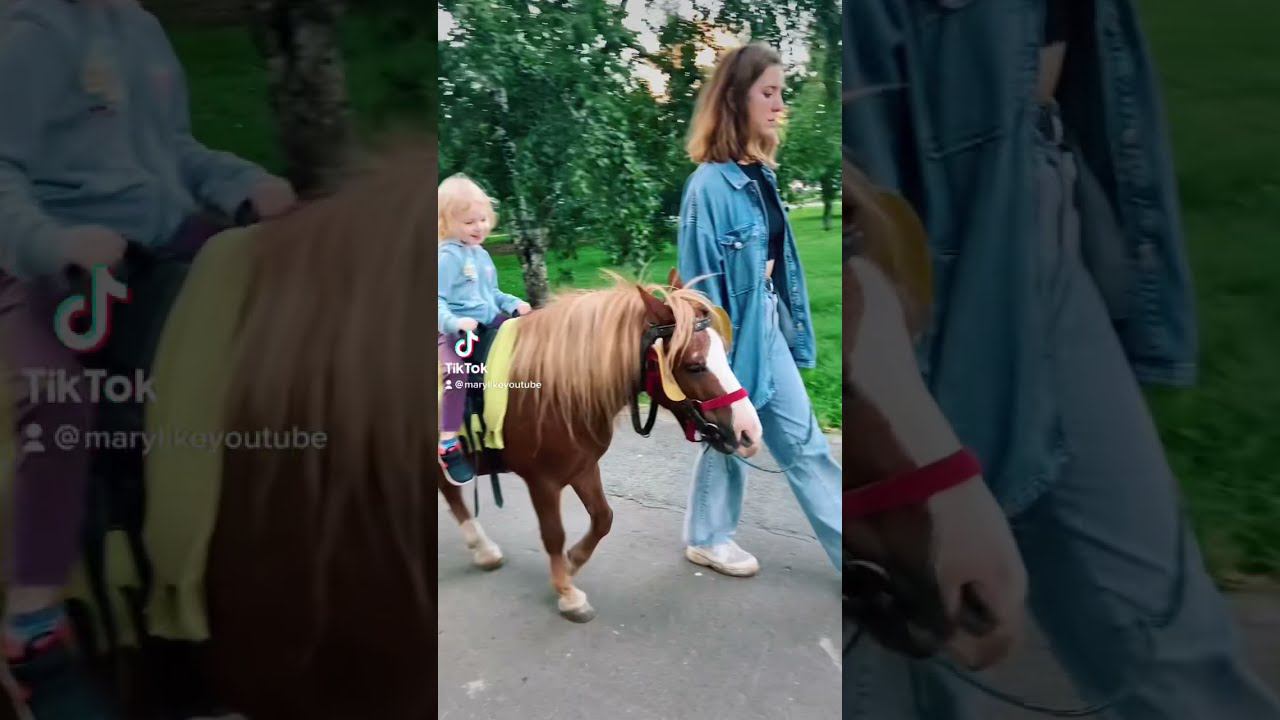 Маша едет! смотреть онлайн