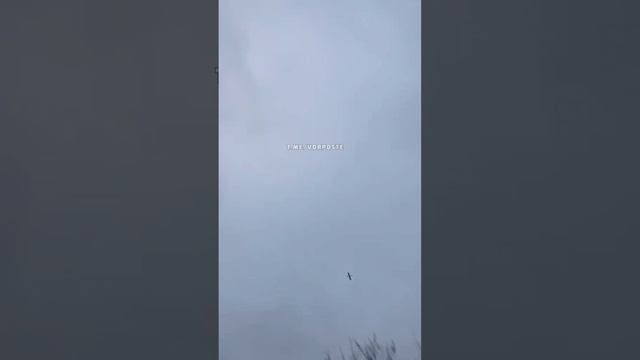 Полёт крылатой над Житомиром. смотреть онлайн