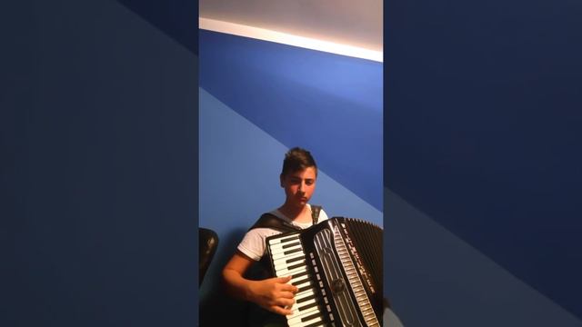 Probă acordeon Weltmeister Supita смотреть онлайн