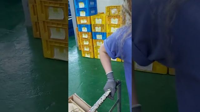 работа  для женщин на заводе  в Корее зарплата 80-110$ в день