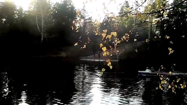 ВЕЧЕР, ЗАЛИВ, КАТЕР, ОСЕНЬ. КАТЕР ПЛЫВЁТ ПО ВОДЕ. ВЕТКИ БЕРЁЗЫ НАД ВОДОЙ. ФУТАЖИ ДЛЯ ВИДЕОМОНТАЖА. смотреть онлайн
